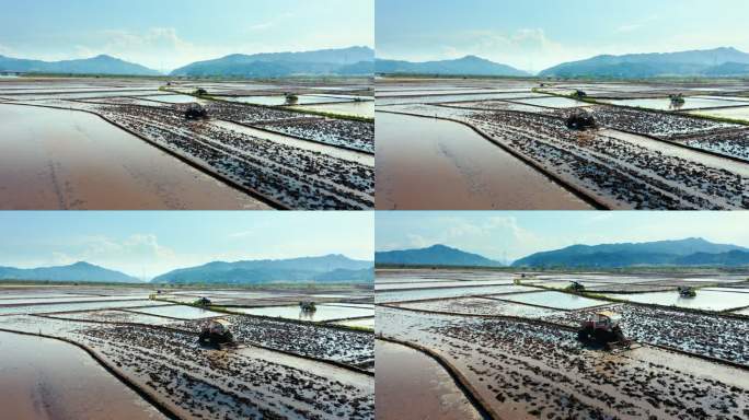 春播 稻田 机械化耕种 美丽中国