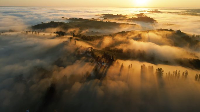 日出时飘浮在乡村上空的晨雾