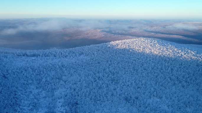 航拍冷空气笼罩的林海雪原奇观