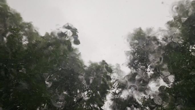 车内避雨