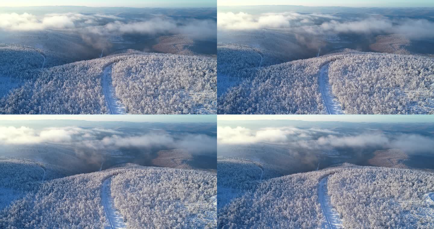 航拍冷空气笼罩的林海雪原奇观