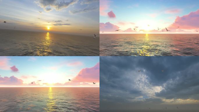海鸥迎着太阳朝阳海面穿梭穿越飞行素材集合