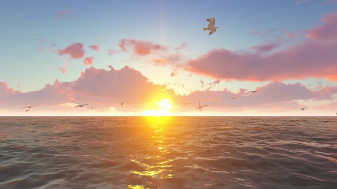 海鸥迎着太阳飞翔组合素材