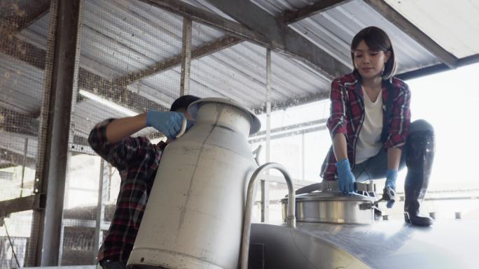 奶牛场的男女农民。