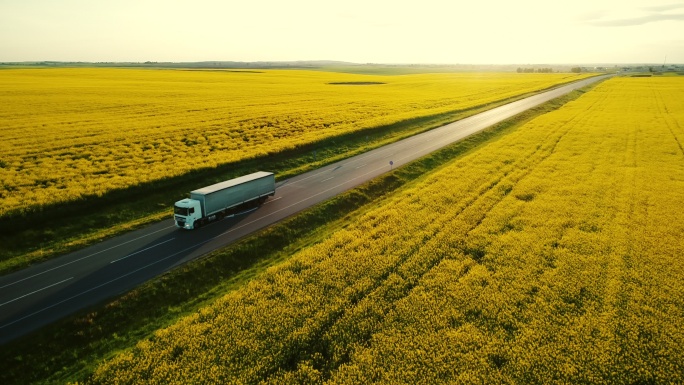 黄色油菜田附近高速公路上卡车的鸟瞰图