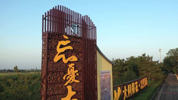 大同云州区国家现代农业黄花产业园4K航拍