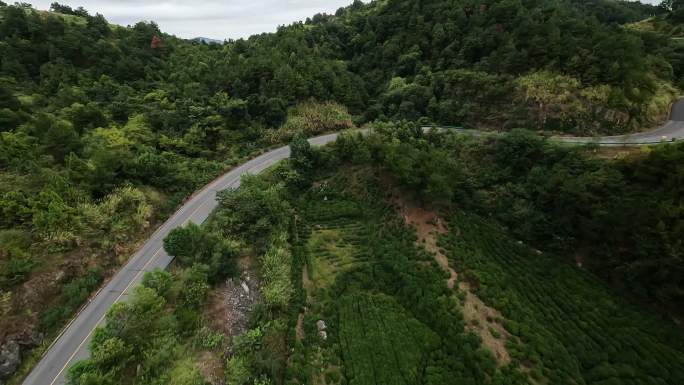 东风新能源纳米Box跑问津书院红色旅游线