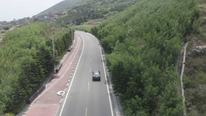 海滨公路 海边车 老车 灰度 4k