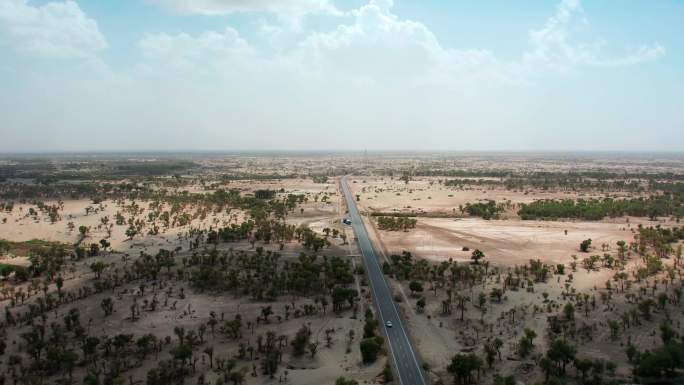 新疆沙漠公路胡杨林航拍沙漠绿化沙漠绿洲
