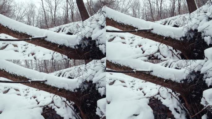 苏子河源头 冰雪 严冬