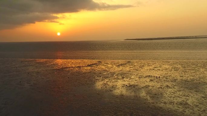 湿地 日出 海岸 夕阳 日落