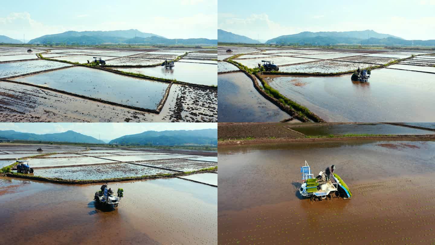 春播 稻田 机械化耕种 山水中国