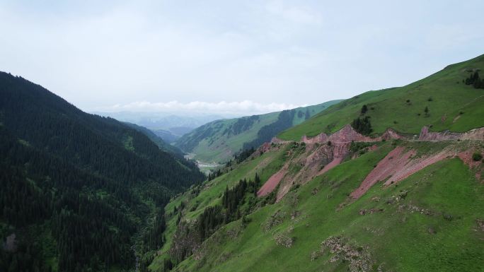 【4K航拍】连绵山脉高山天山森林针叶林