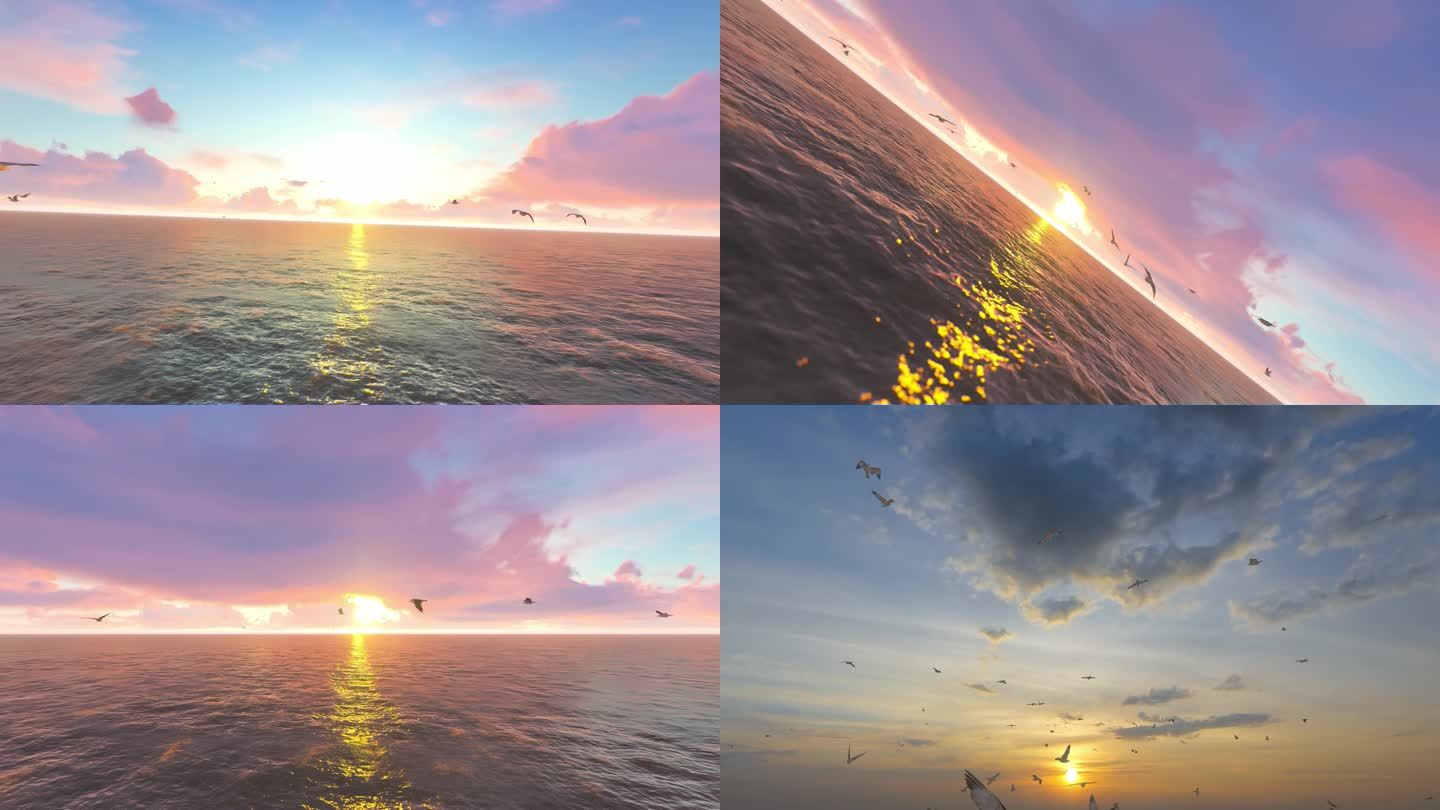蓝天大海海鸥日出朝阳多镜头组合素材