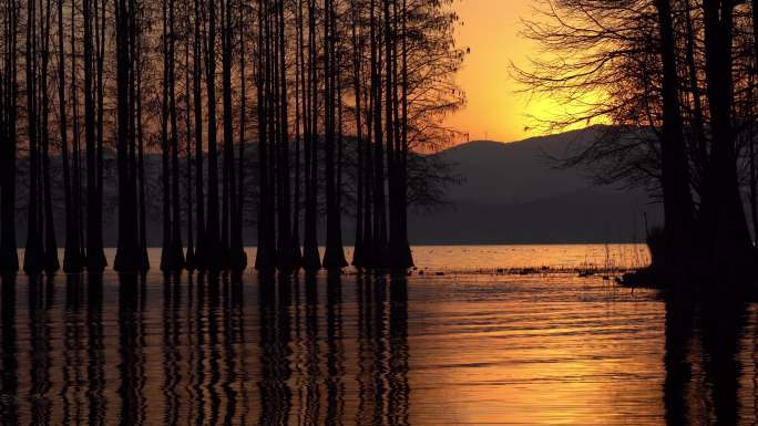 宁静湖边 夕阳湖面  水面平静