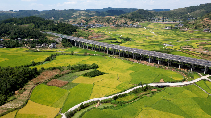 4k高清航拍贵州乡村梯田园秋天自然风光景