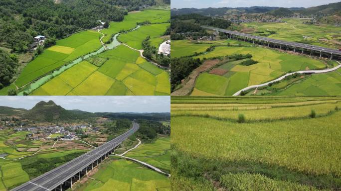 4k高清航拍贵州乡村梯田园秋天自然风光景