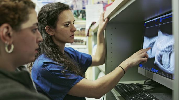 兽医技术人员在计算机监视器上分析X射线