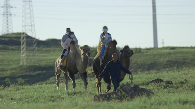 草原骑骆驼/骆驼实景拍摄/4K原创 8