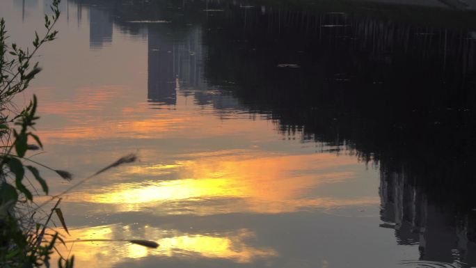 通州运河清晨水面