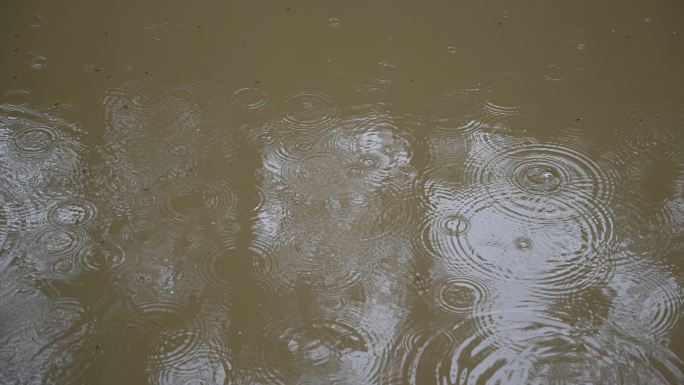 下雨天的池塘