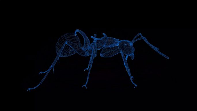 4K蓝色全息科技线框动物 蚂蚁素材带通道