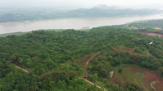 重庆广阳岛绿化风景