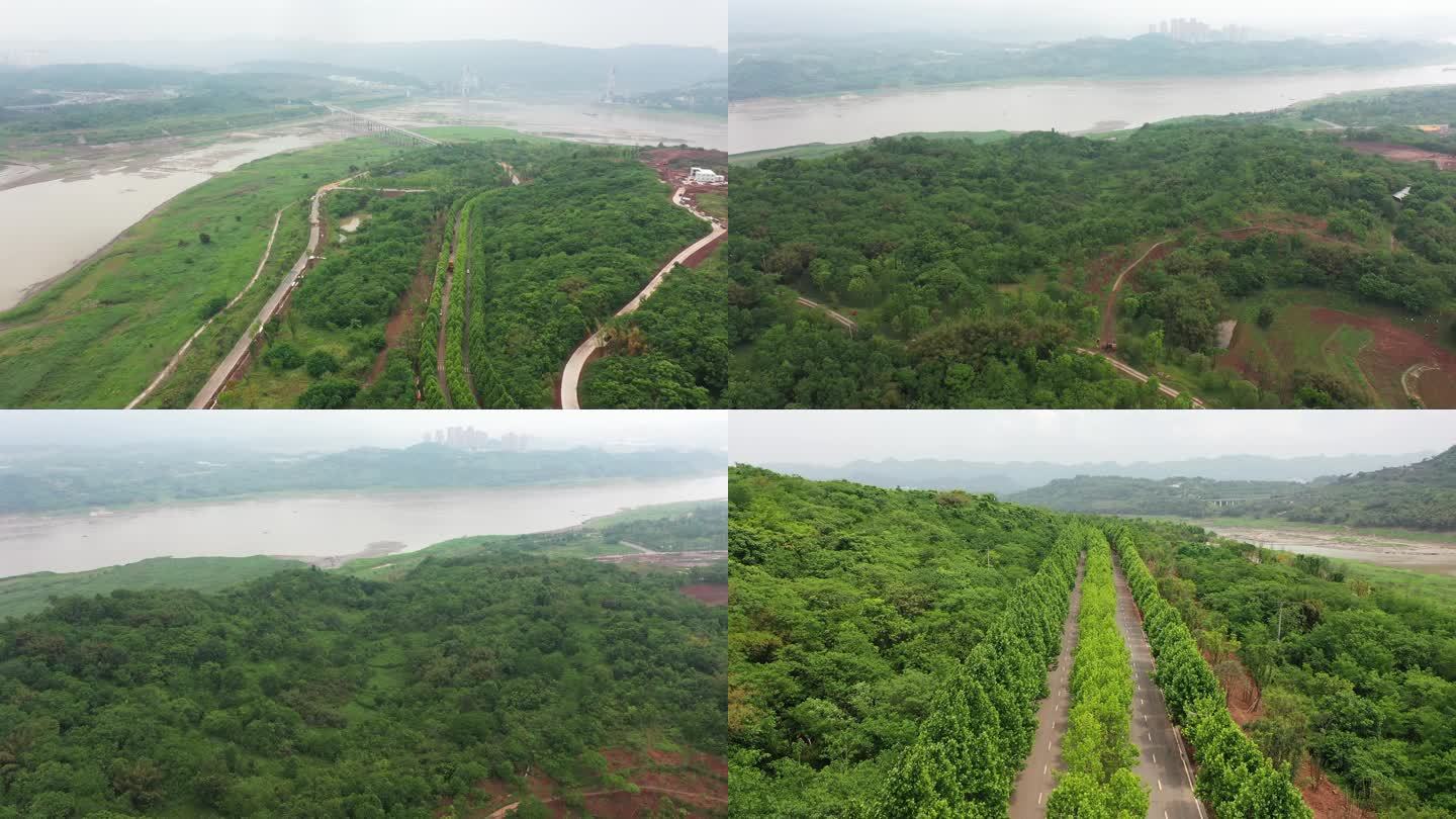 重庆广阳岛绿化风景