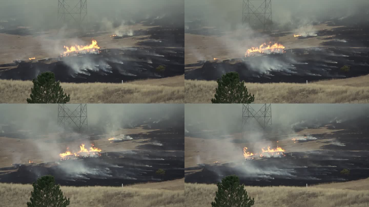在科罗拉多州的利特尔顿山麓，橡树大火干枯地燃烧着草地和树木