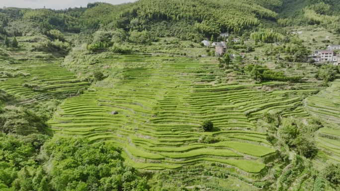 航拍浙江金华塔石岭边梯田