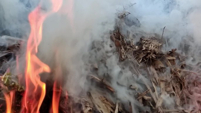 实拍烧禾杆 烧杂草改良土壤烧火焰烟雾缭绕