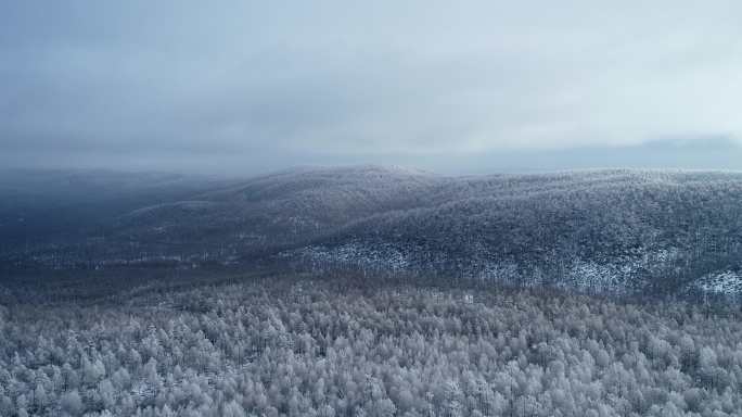 航拍大兴安岭林海雪原风光