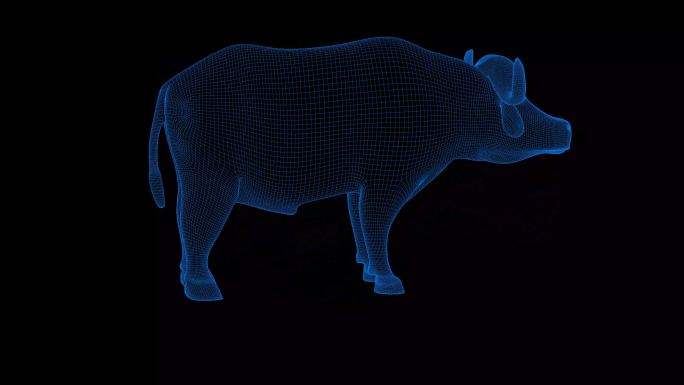 4K蓝色全息科技线框动物 牛素材带通道