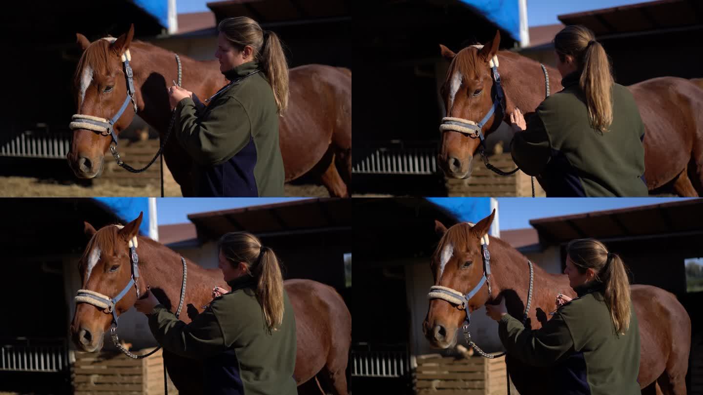一位女兽医在马厩里给马打针。