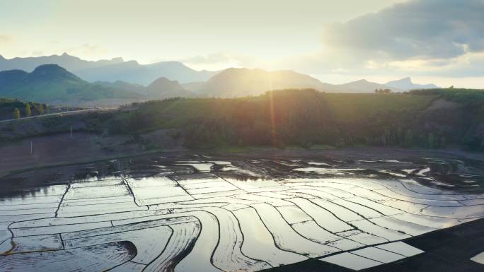 太子河 稻田 灌溉 田野