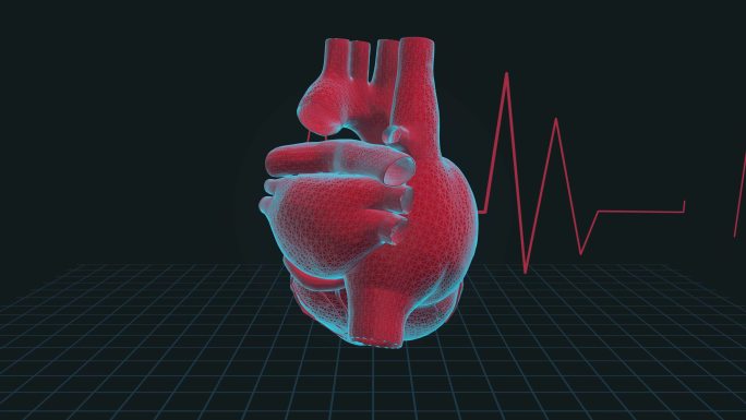 心脏感染疾病心跳-4K循环医学背景