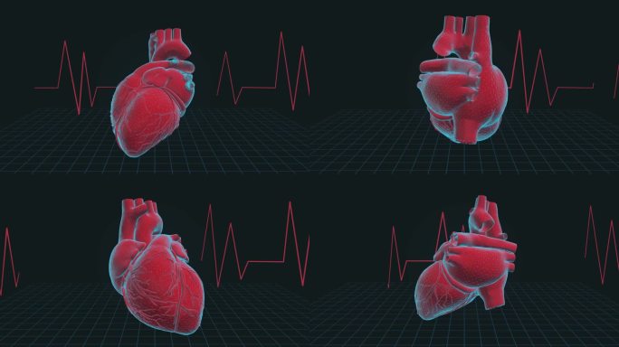 心脏感染疾病心跳-4K循环医学背景