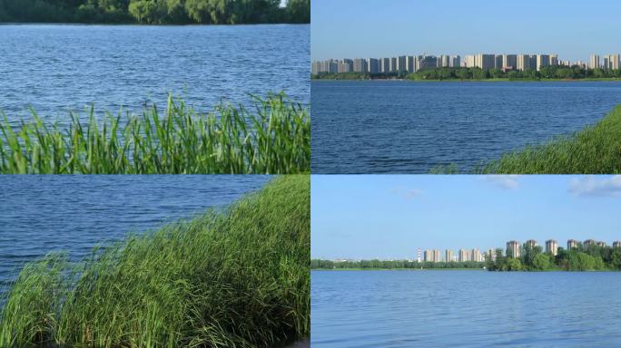 城市生态环境、人文水系、滨水城市、亲水