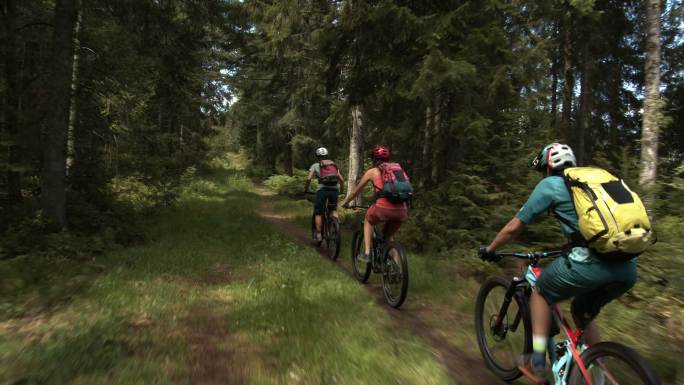 下面是三个山地自行车骑手穿过树林的镜头