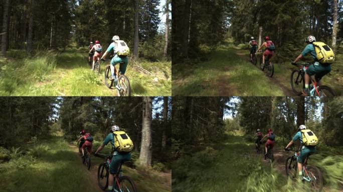 下面是三个山地自行车骑手穿过树林的镜头