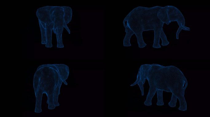4K蓝色全息科技线框动物 大象素材带通道