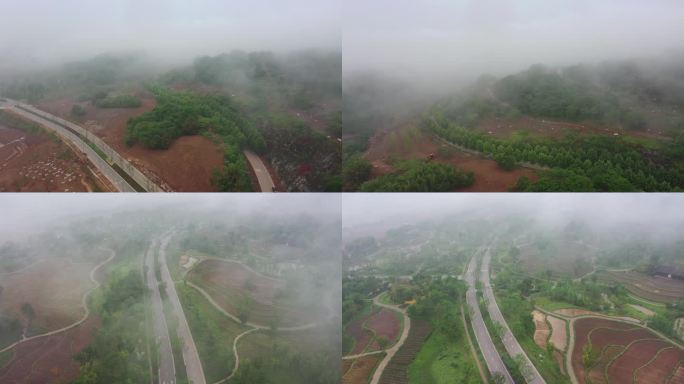 重庆广阳岛晨雾绿化风景