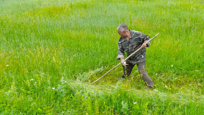 牧民割草人工割草