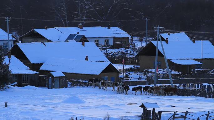 内蒙古边塞雪村暮色