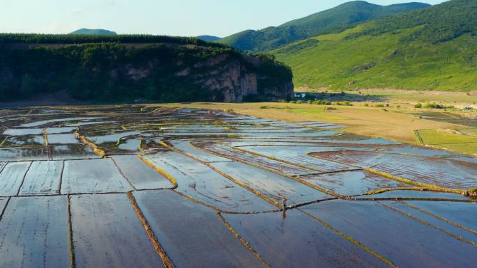 太子河 稻田 灌溉 美丽中国