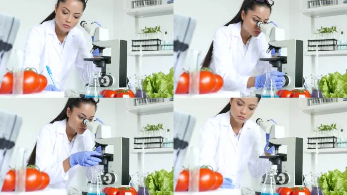 亚洲女农学家、科学家、工人在实验室使用显微镜的4K侧视图视频