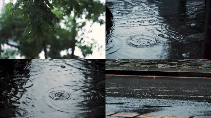 雨天雨水打湿树叶 雨滴水坑