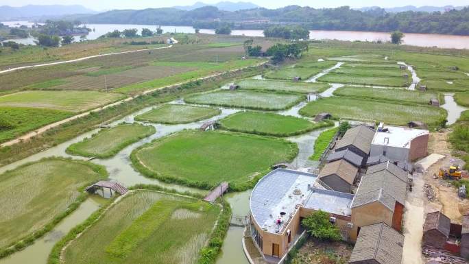 中国广西的乡村特色水稻田，岛屿型农田