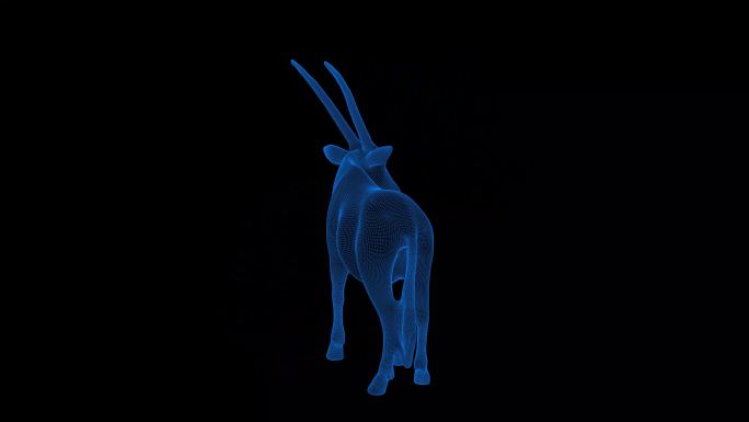 4K蓝色全息科技线框动物 羚羊素材带通道