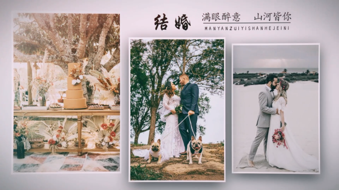 婚礼竖版温馨唯美多图ae相册